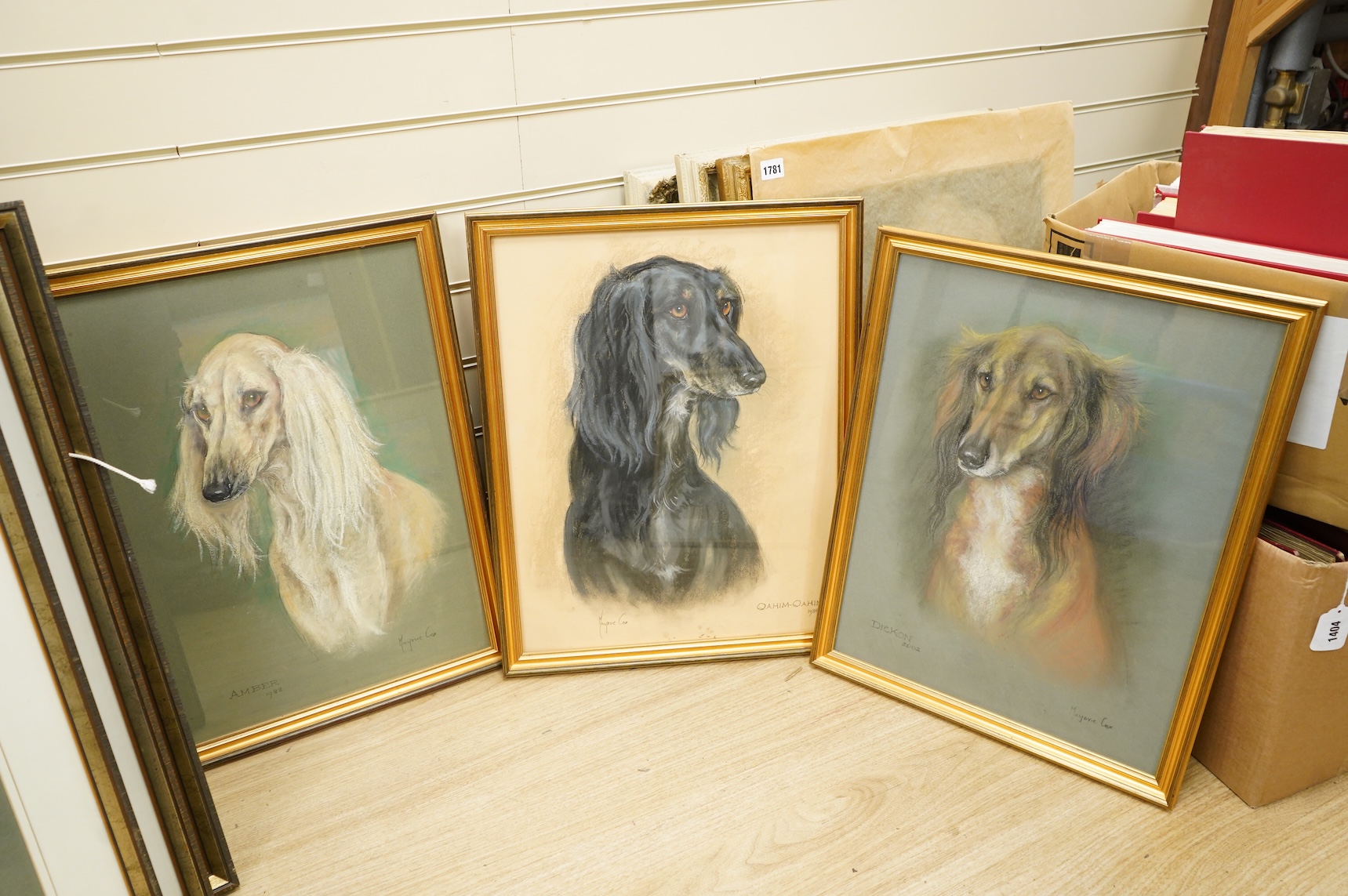 Marjorie Cox (British 1915-2003), six pastel portraits of Salukis and another of a cat, all signed and dated, largest 51 x 41cm